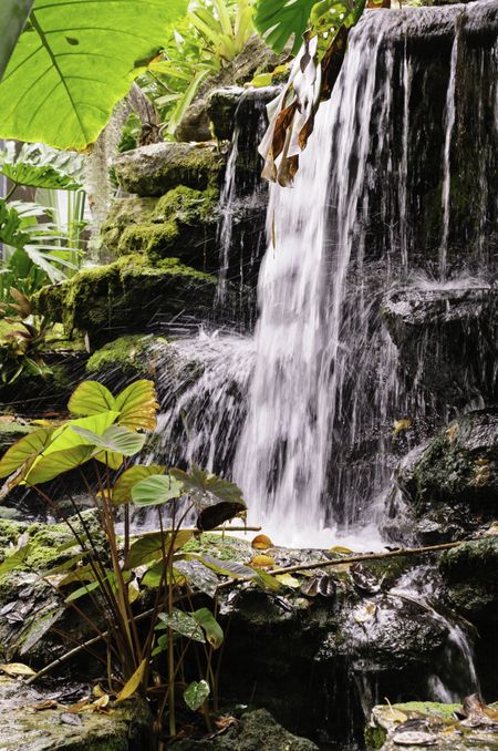 Small waterfall with motion blur in botanical garden