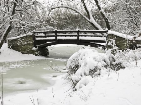 Footbridge over stream in winter woods, northern Illinois