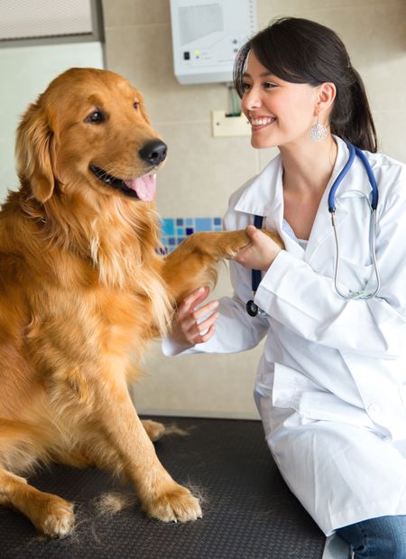 Female vet smiling with a cute dog