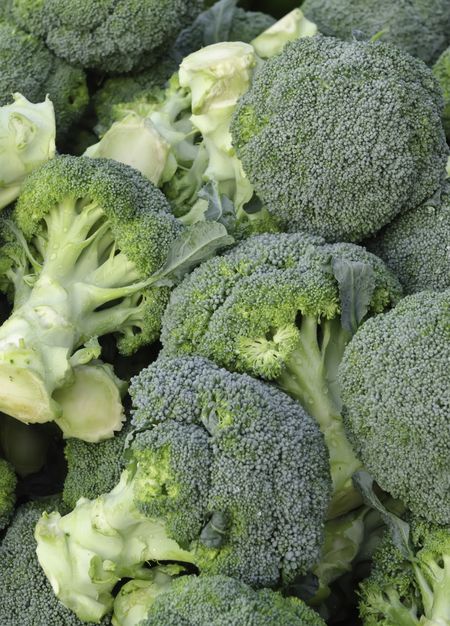 Broccoli (botanical name: Brassica oleracea) at farmer's market