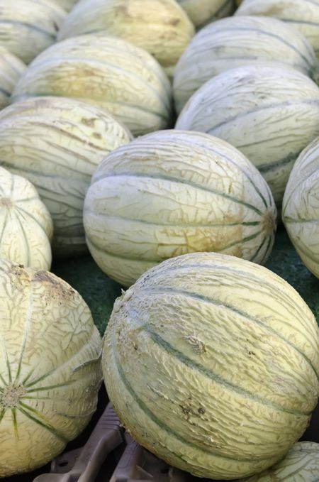 Charentais melons, also known as French cantaloupes, at farmer's market (foreground focus)