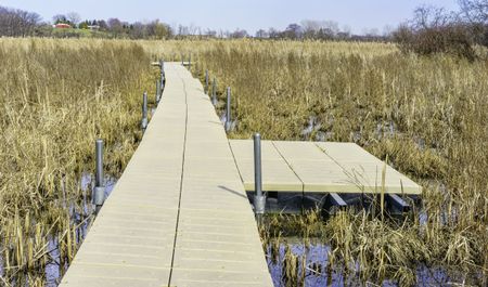 Wetland walkway for nature lovers: Floating boardwalk across prairie marsh in springtime, Moraine Hills State Park in Lake County, Illinois, USA