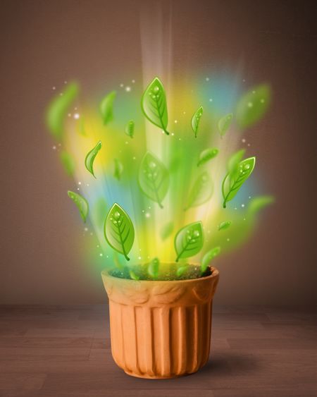 Glowing green leaves coming out of flowerpot
