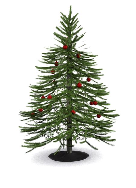 christmas tree in 3d over a white background