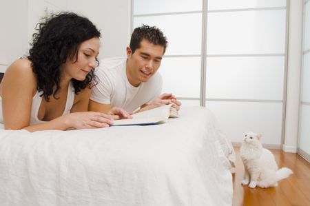 Couple reading a book on a bed with a cat watching.