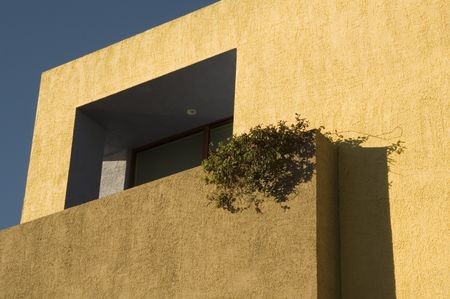 Corner of stucco house, earth tones, with creeper, private porch, after sunrise -- view from street below