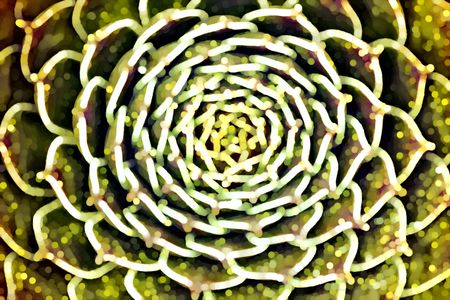 Abstract of succulent plant, with many shades of green and yellow, for decoration or background with motifs of radial symmetry, patterned growth, and microscopic complexity