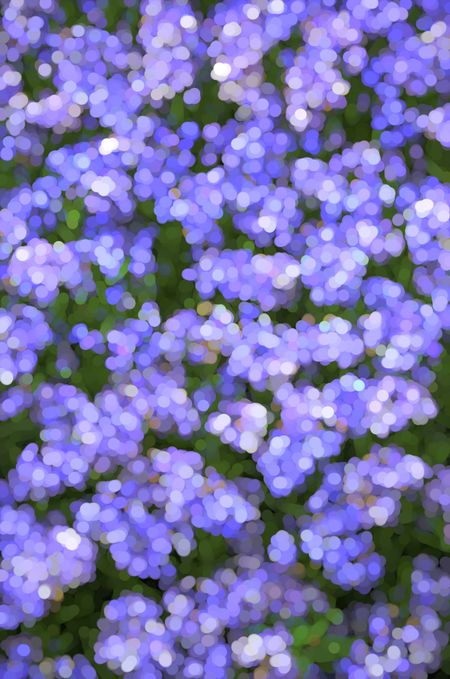 Abstract of many small light blue flowers in springtime, for decoration and background