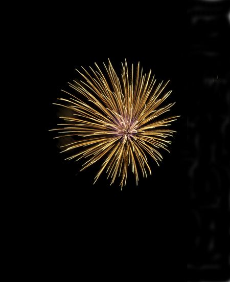 Burst of fireworks like a flower