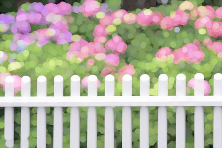 Bright varicolored abstract of white picket fence by hydrangea shrubs with pink flowers and green foliage, for themes of summer, gardening, or landscaping