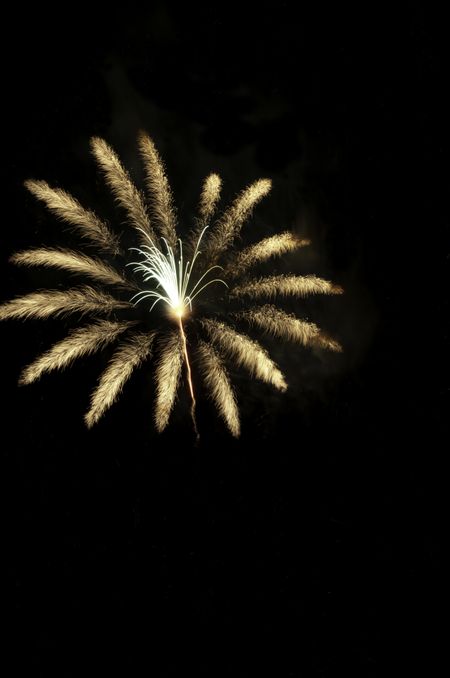 Fireworks burst like a hairy tarantula, off center with copy space