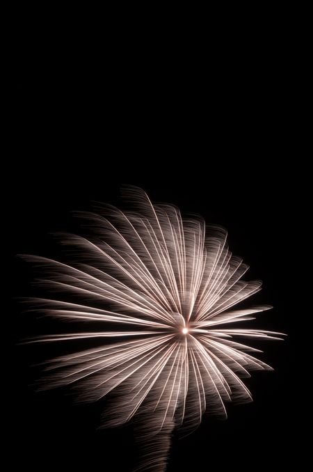 Spidery burst of fireworks, grayish white against night sky, with copy space