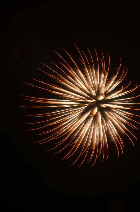 Burst of fireworks like a multilegged sea creature