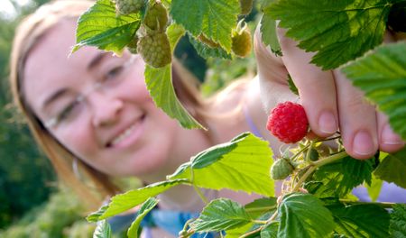 girl out in the field doing strawberry picking