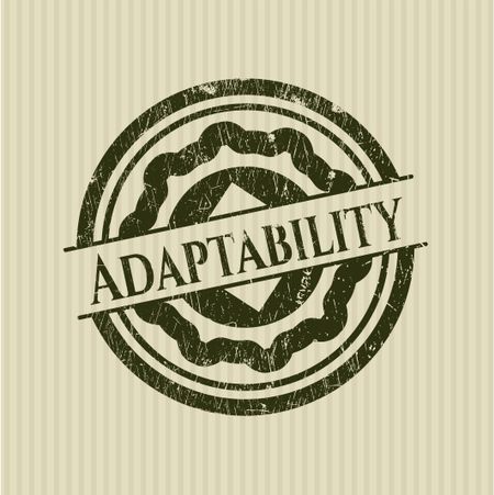 Adaptability rubber seal