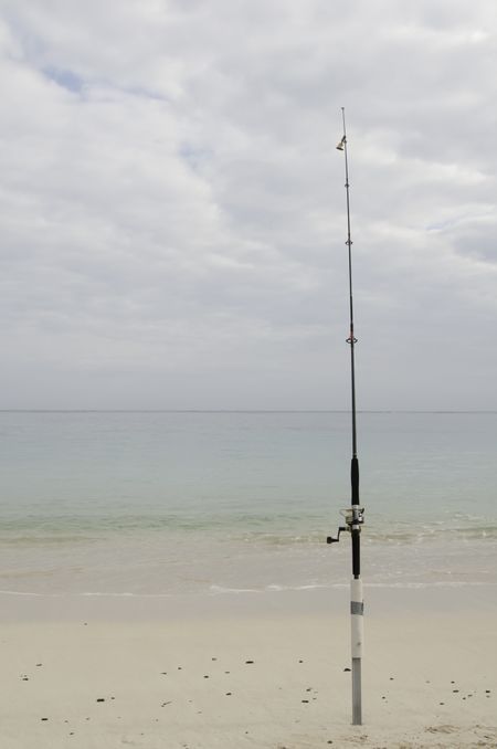 Fishing rod with bell and spinning reel standing on sandy beach