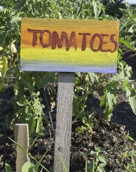 Multicolored, slightly tilted TOMATOES sign in garden