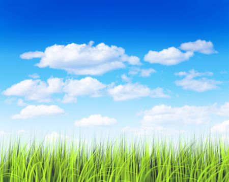 Green grass with a blue sky and some clouds over