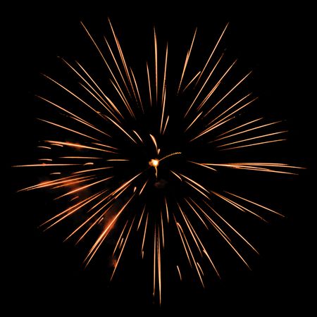 One burst of fireworks on square background of night sky