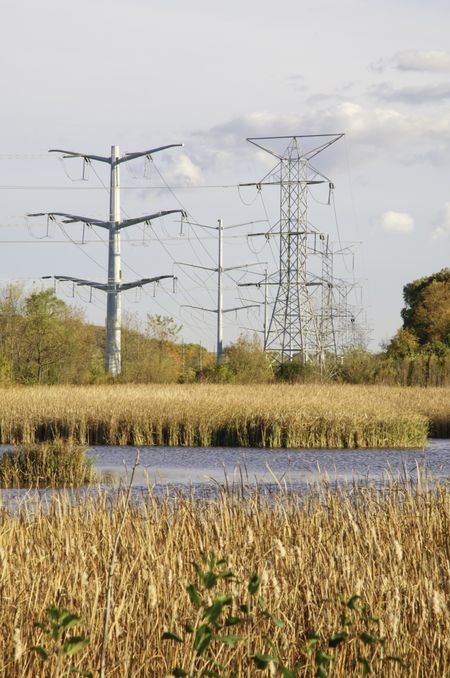 Environmental landscape in mid October, with lake and reeds in foreground and two rows of transmission towers receding across forest preserve in northern Illinois