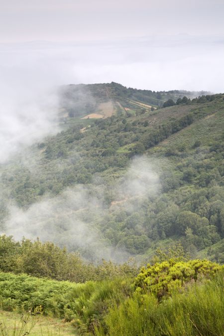 Mist on Hills at O Cebreiro, Galicia, Spain