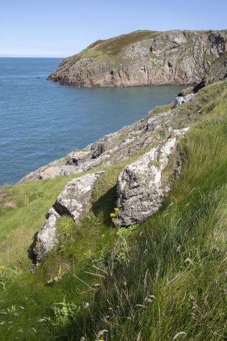 Cliffs at Llanbadrig; Cemaes; Anglesey; Wales; UK
