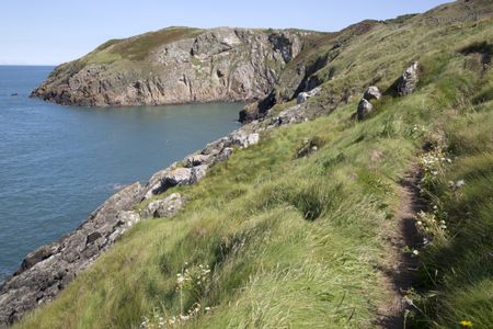 Cliffs and Footpath at Llanbadrig; Cemaes; Anglesey; Wales; UK