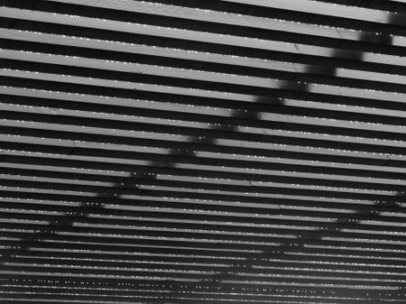 Luminous raindrops clinging to lower edges of pergola beams, in black and white