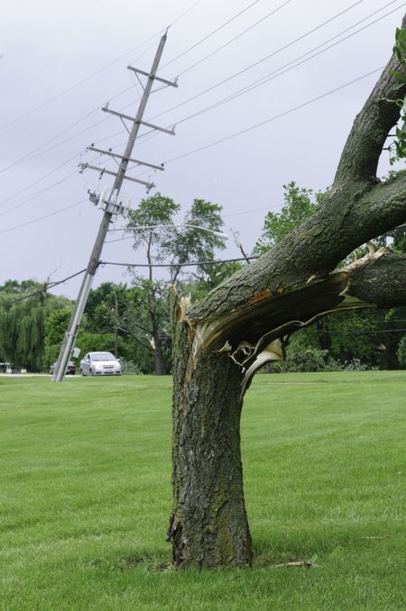 Damage from severe storm: cracked tree and tilted power pole on lawn of public school about 36 hours after a tornado touched down on the first day of summer in Downers Grove, Illinois, 2011