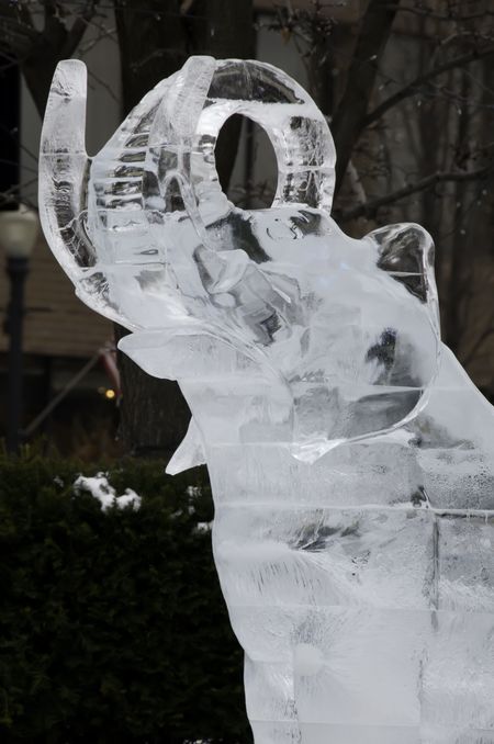 Ice sculpture of elephant or mastodon, partial view, in public square -- detail of winter ice festival in northern Illinois