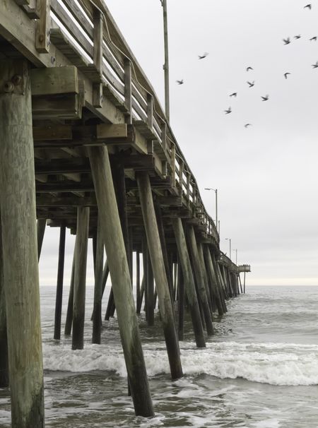Fishing pier at Virginia Beach, USA, with departing seagulls